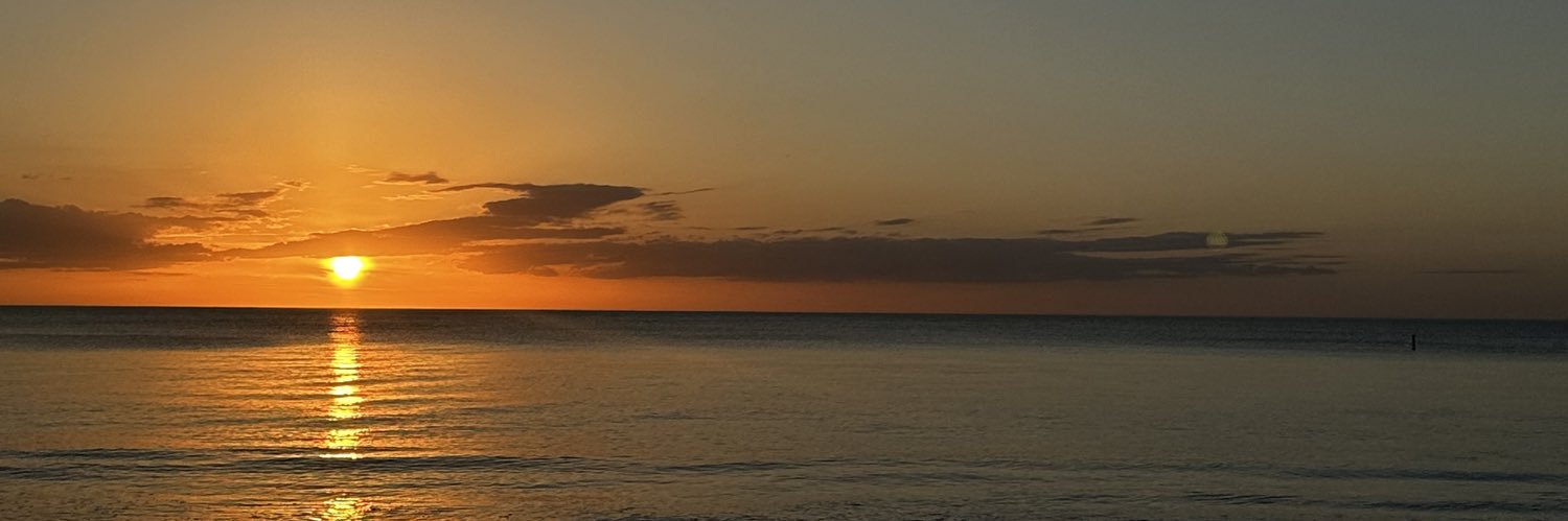 alexiswhyte23's profile banner image