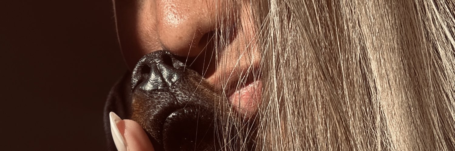 peraltamari_'s profile banner image