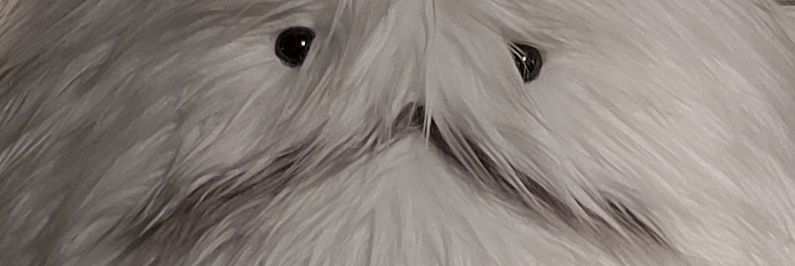 さわでー@取引用ツイフィ有 banner