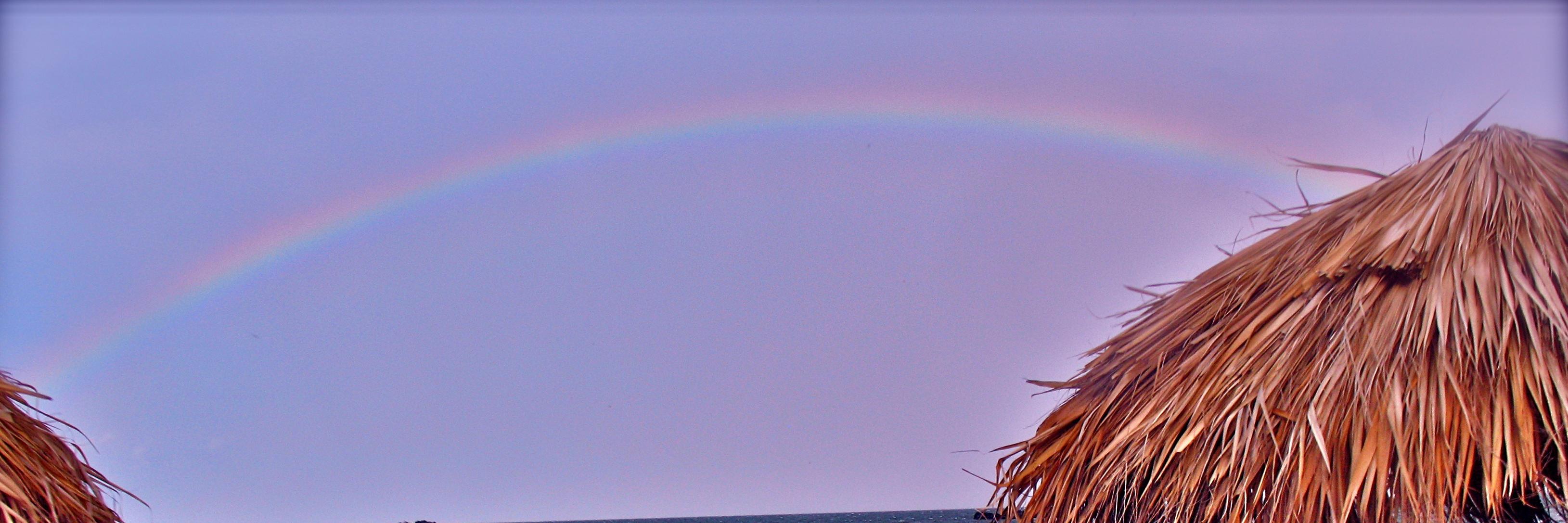 Noelle London banner