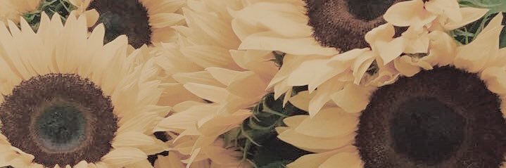 iraisangulo's profile banner image