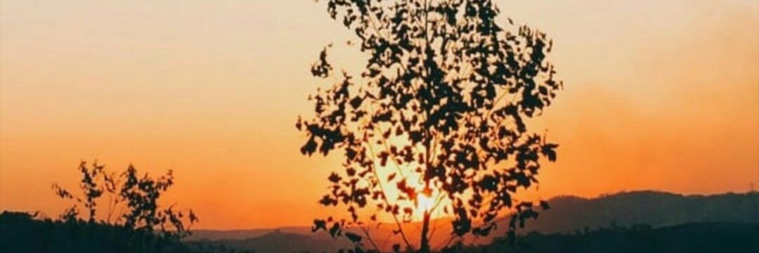 taaataaakaaae's profile banner image