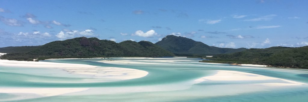 Ant Rodrigues banner