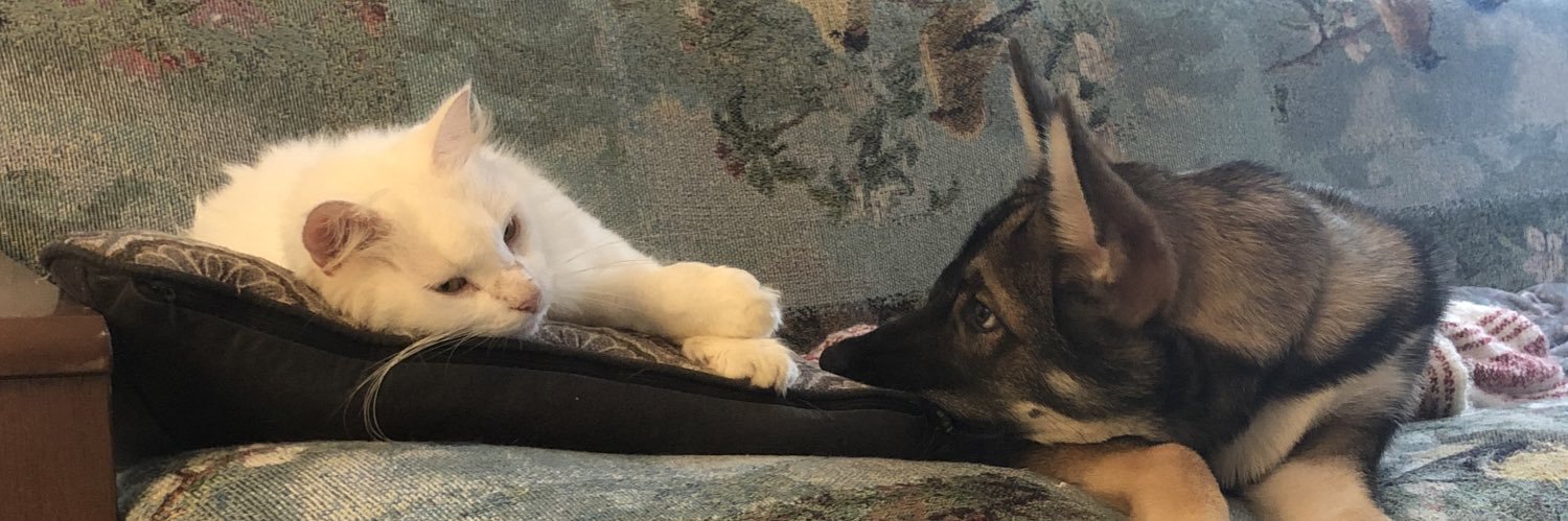 catwaggoner's profile banner image