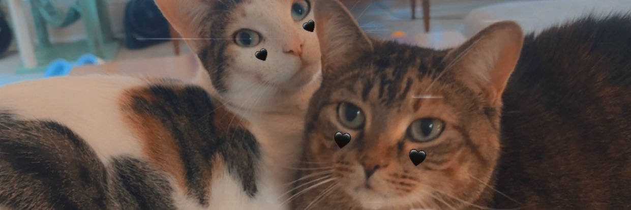ashley_b_long's profile banner image