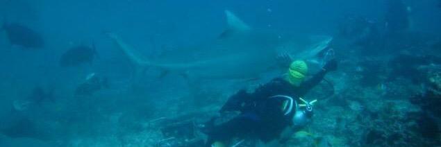 Cara McGimpsey banner