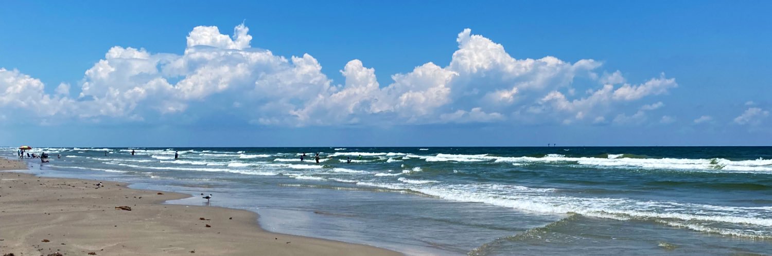 Taylor Penn 🇺🇸 banner