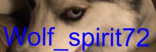 Wolf_Spirit72's profile banner image