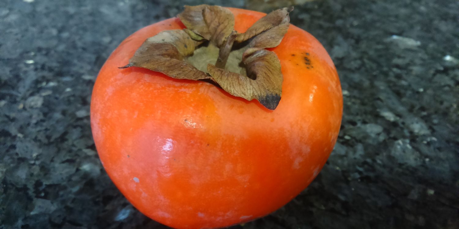 Damián Lorencio banner