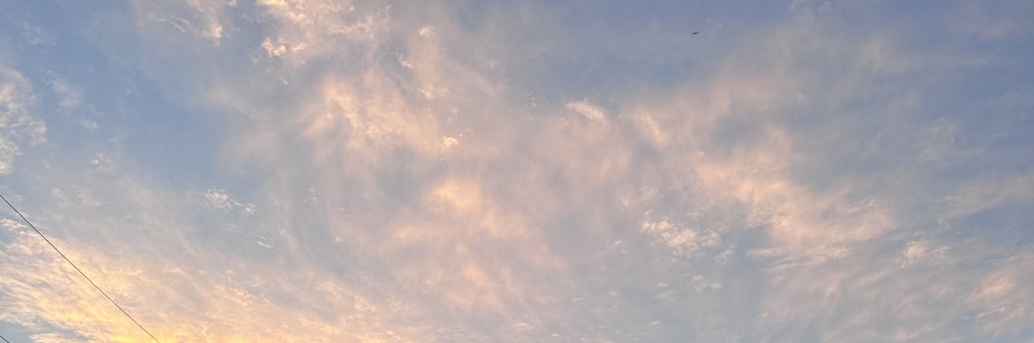 caitartese's profile banner image