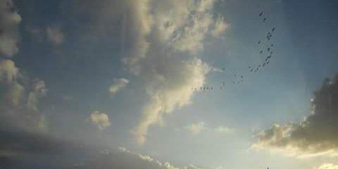 fighterofmylife's profile banner image