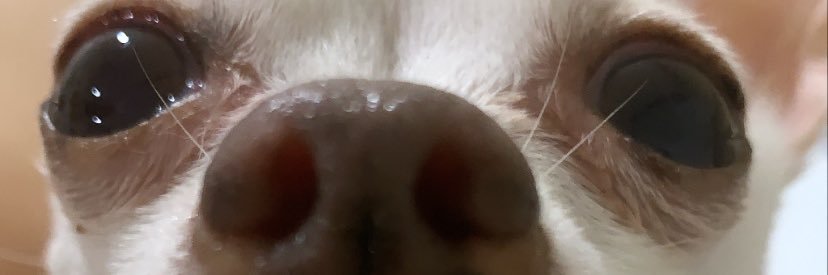 MarceFloresM's profile banner image