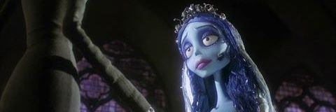 Renaacardozo's profile banner image