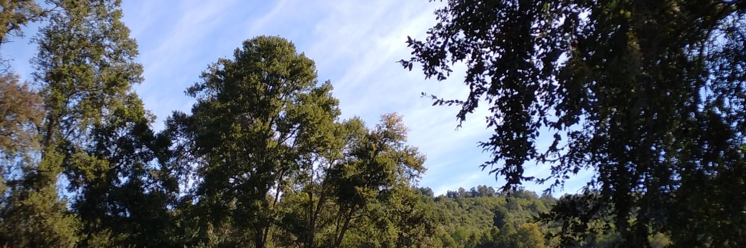 MPoffald's profile banner image