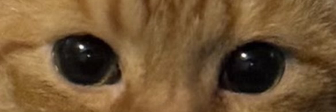 cmoiheuss's profile banner image