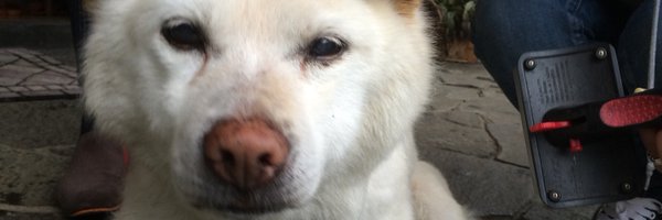 037171 Profile Banner