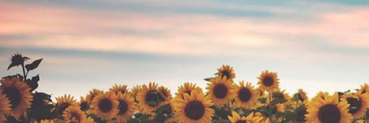 jcroftt's profile banner image