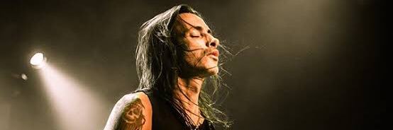 🐢Q廃人 banner