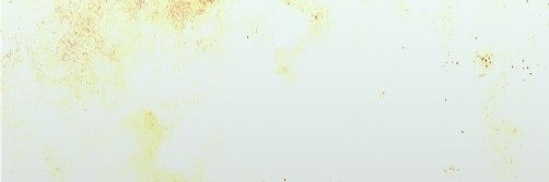 rnoo227's profile banner image