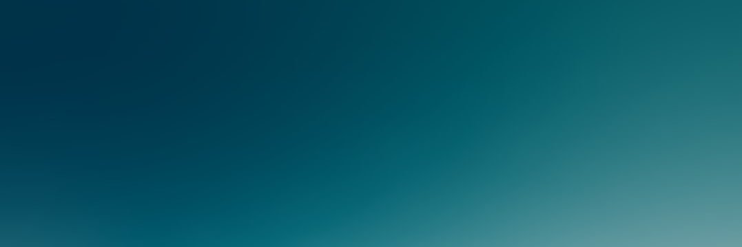 0xj_p's profile banner image