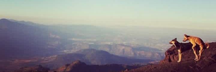fersando10's profile banner image