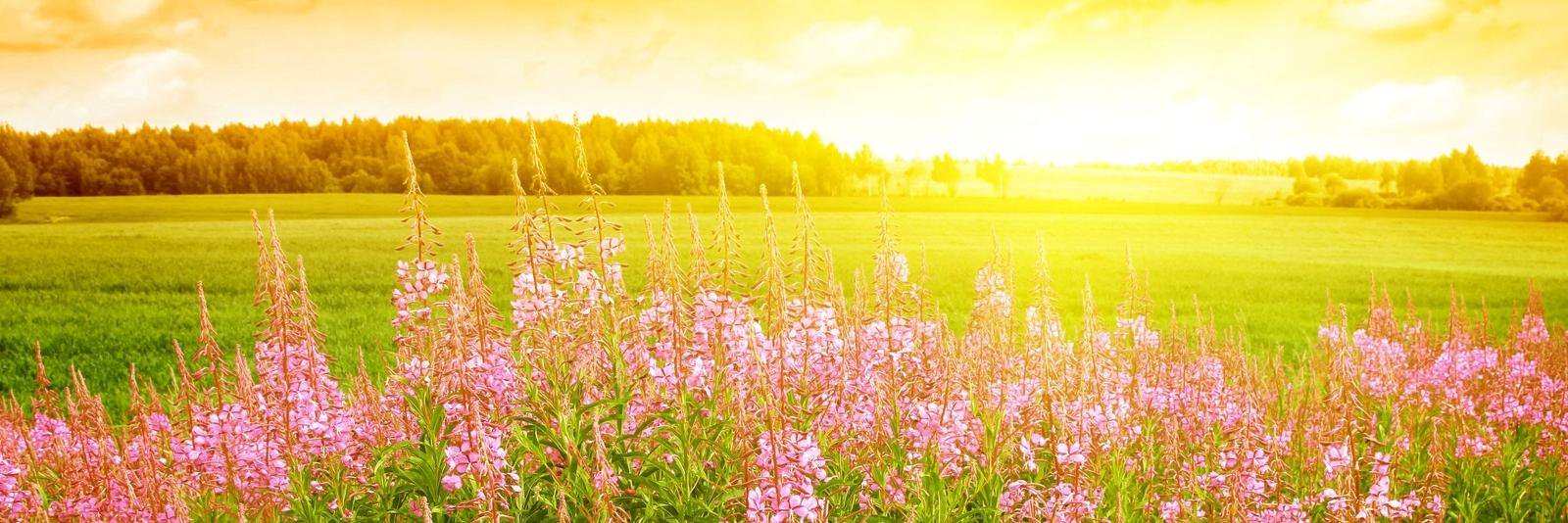 adnama_324's profile banner image
