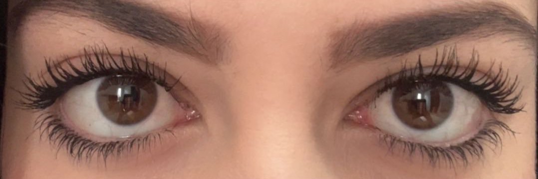 passarelli o editor 🇾🇪 banner