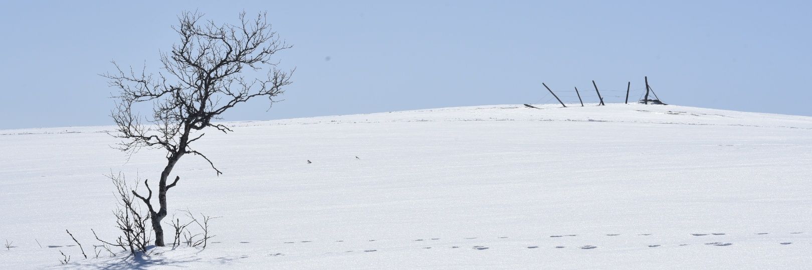 strandolsen's profile banner image