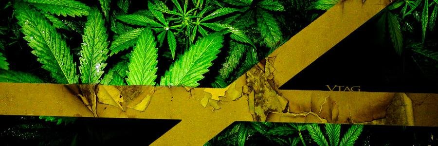 HeavyDancehall's profile banner image