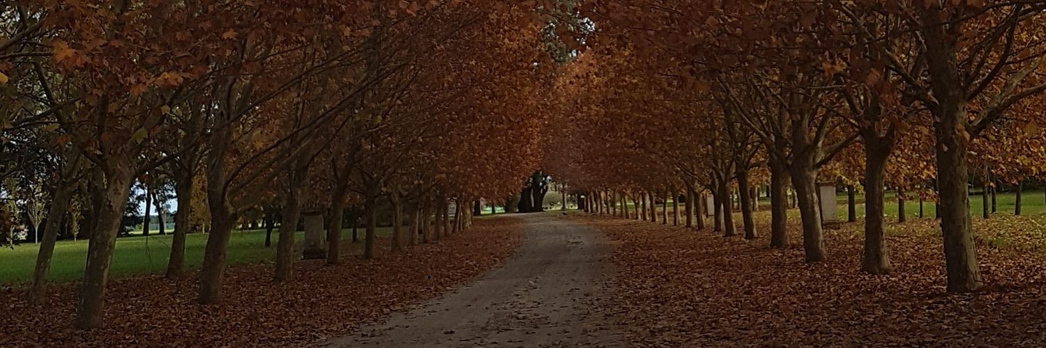 EsquerdoMaxi's profile banner image