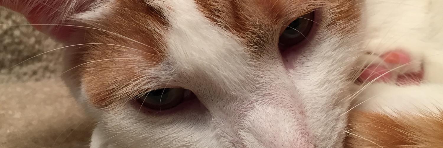 docteb19's profile banner image