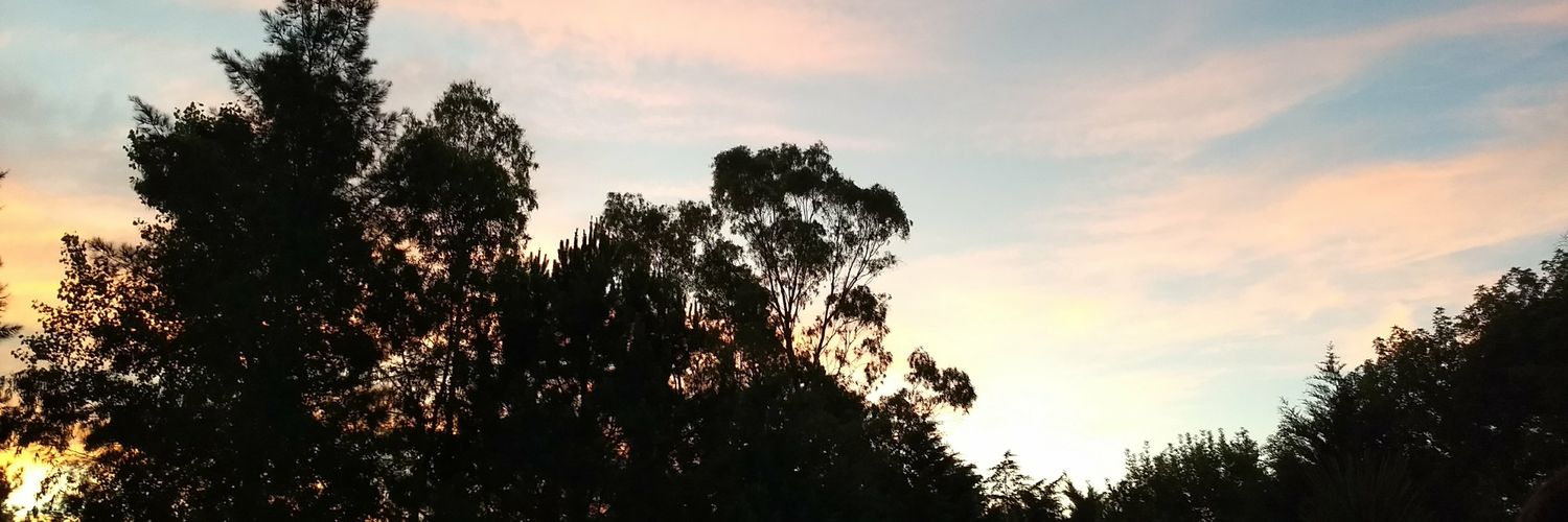 FlorFaure_'s profile banner image