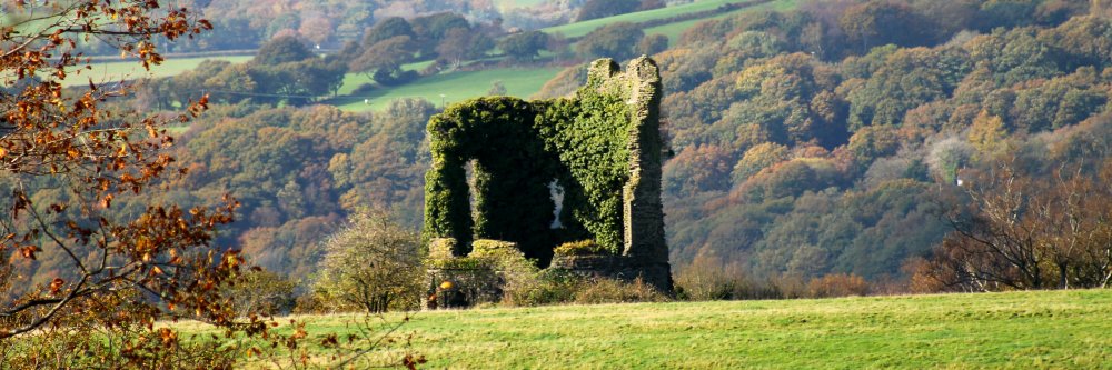 Ⓑⓔⓢⓣ ⓞⓕ Ⓝⓔⓐⓣⓗ Ⓟⓗⓞⓣⓞⓢ banner