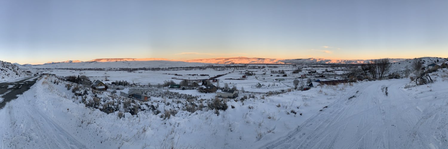 Atomic Blonde-ish💛💙☮️🌈🌱🌸⚒♻️ banner