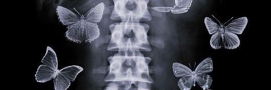 Scammin & Schemin, LLC banner