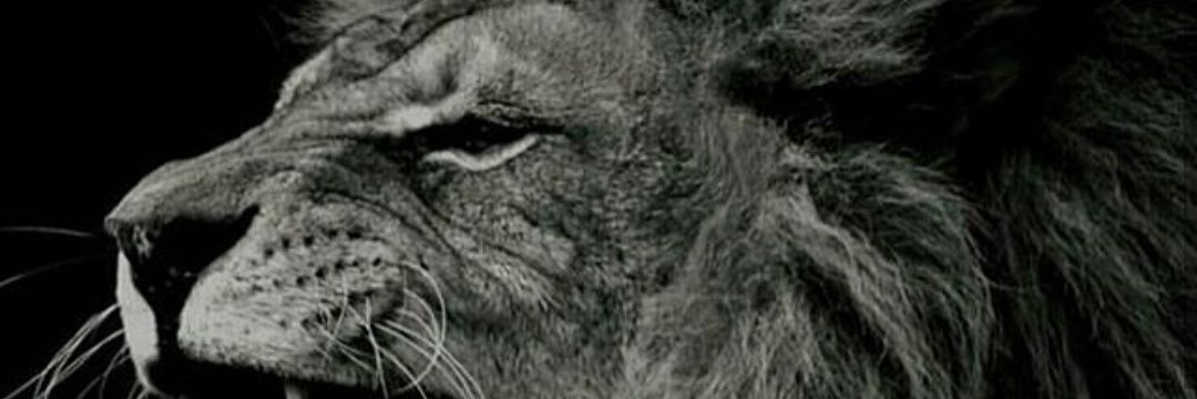 lizethvr05's profile banner image