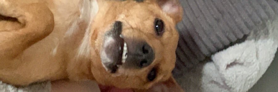 LittleMatador7's profile banner image