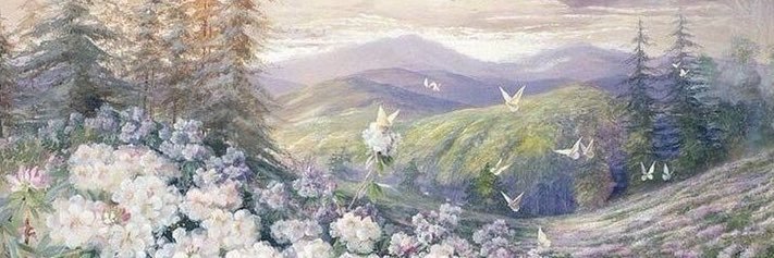 abiumndp's profile banner image