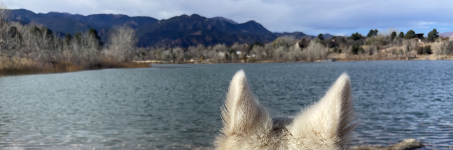 megweisy's profile banner image