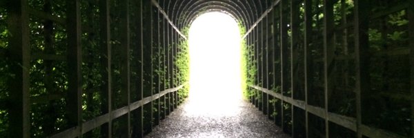 amyfuller84 Profile Banner