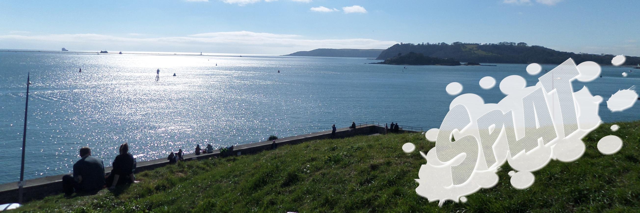 PlymSeagull's profile banner image