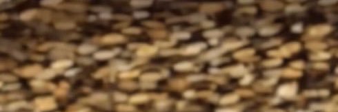 abcsch12's profile banner image