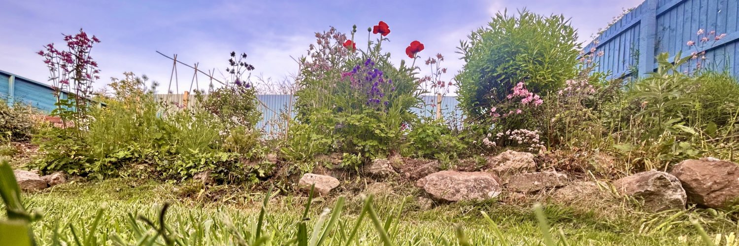 AlexCT807's profile banner image