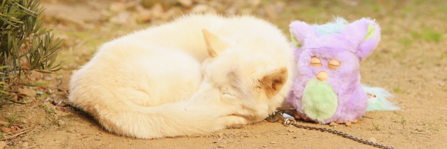 シフォンタナ banner