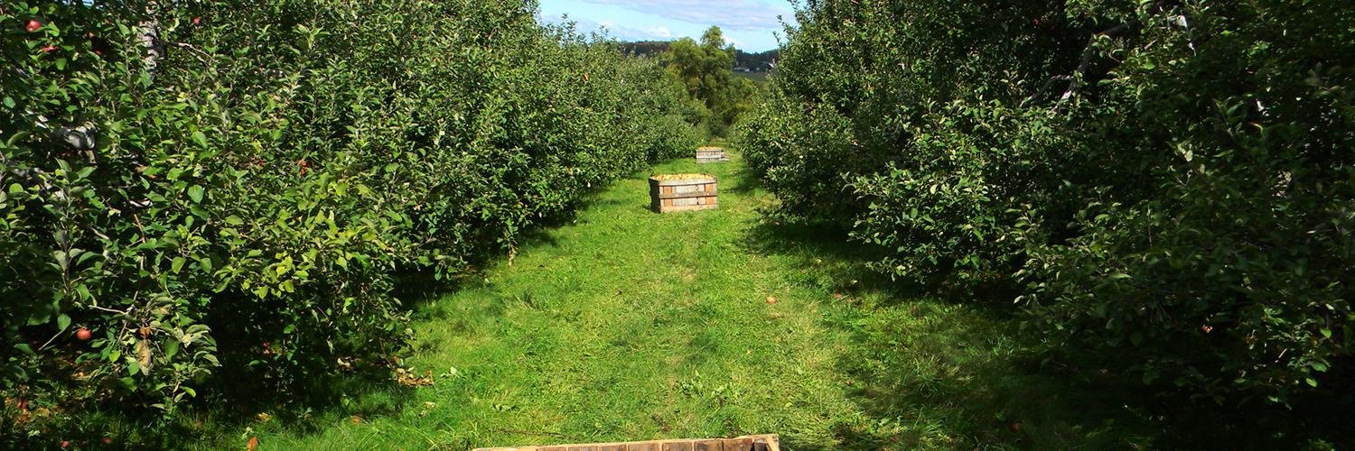 VT Cider Week banner