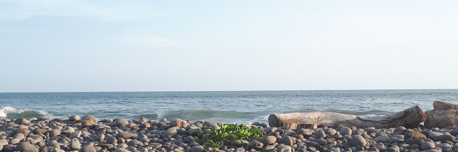 AleNaranjoB's profile banner image
