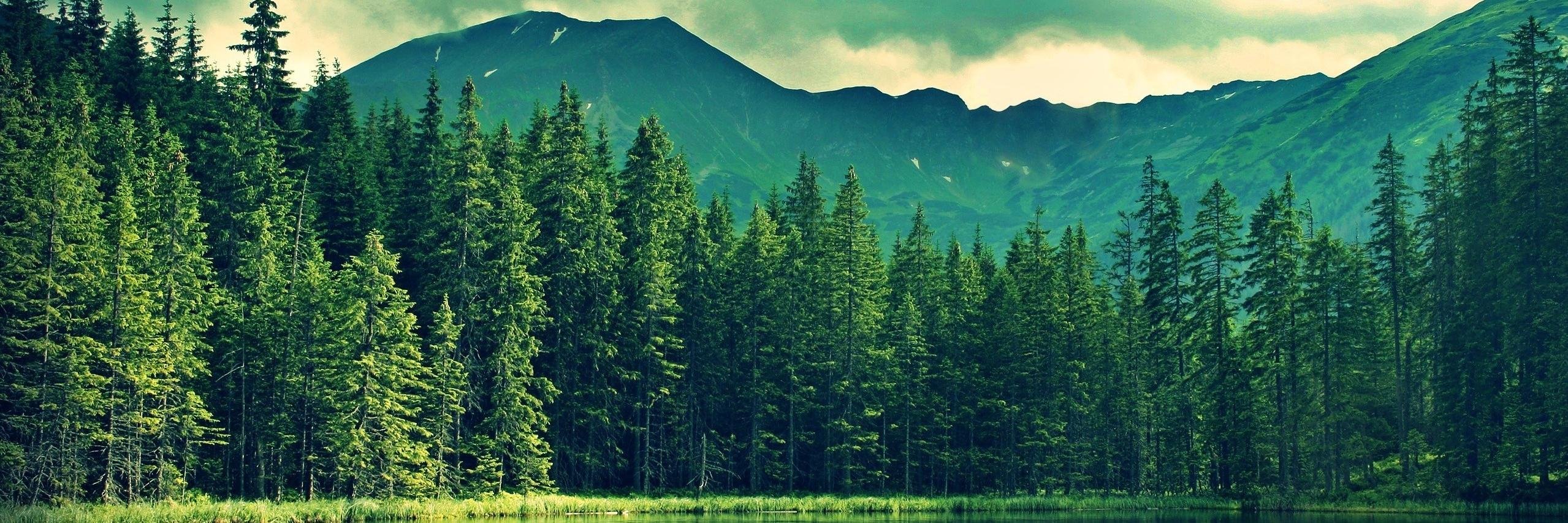 daveguy_'s profile banner image
