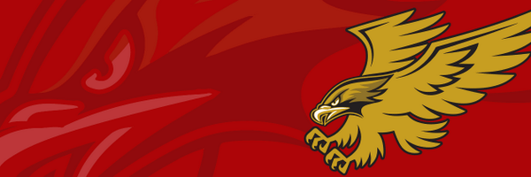 CentennialHawks Profile Banner
