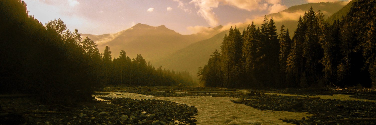 AuthorMikeD's profile banner image