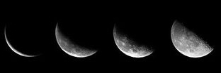 Yasmin banner